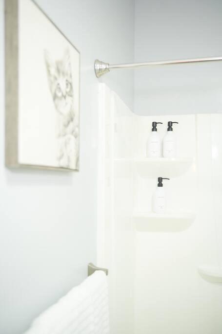 Cozy Apartment 2Nd 10Min Walk Downtown And City View Providence Eksteriør bilde